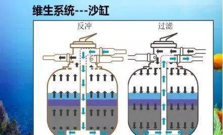 海洋科考魔法营,现实版 狼人杀 海底王国科普闯关...