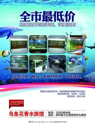 水族箱海报图片