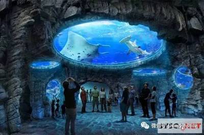 独家定制线路--上海水族馆、科技馆一日游