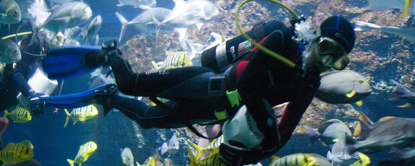 曼谷水族馆门票价格_曼谷水族馆门票多少钱_曼谷水族馆好玩吗