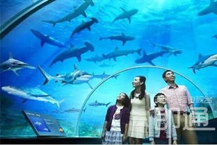 衡水 首家大型主题乐园7月试营业