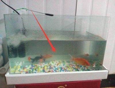 江口县梵净山村流水人家水族馆(江口县梵净山村流水人家水族馆经营产品:法律、法规、国务院决定规定禁止的不得经营)