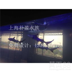 【银川订做盒马鲜生鱼缸公司_盒马鲜生鱼缸_盒马鲜生鱼缸销售点】- 