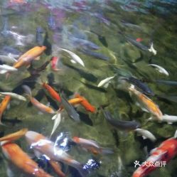 电话 地址 价格 营业时间 沙扒镇动植物园团购 阳西县周边游