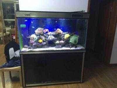 临泉县梦景水族馆(临泉县梦景水族馆经营产品:鱼缸、水族器械、观赏鱼、水族配件零售)